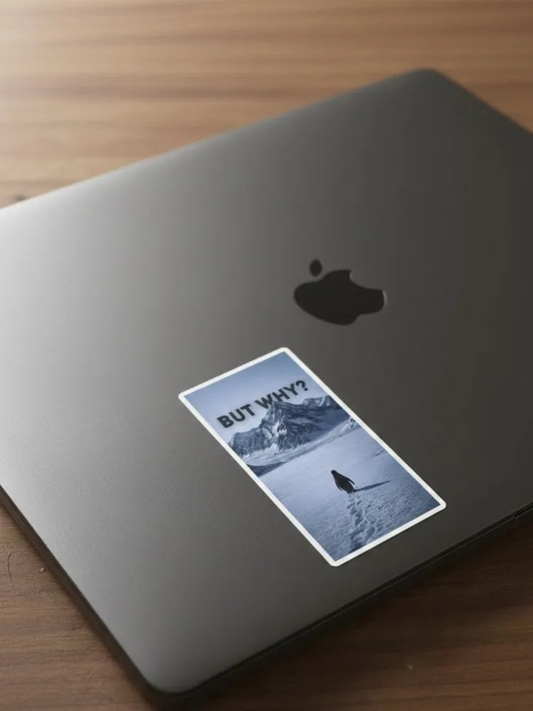 Funny Penguin Sticker BUT WHY Meme Decal Vinyl Waterproof Laptop Phone Case Decor Aesthetic Minimalist Gift Sticker