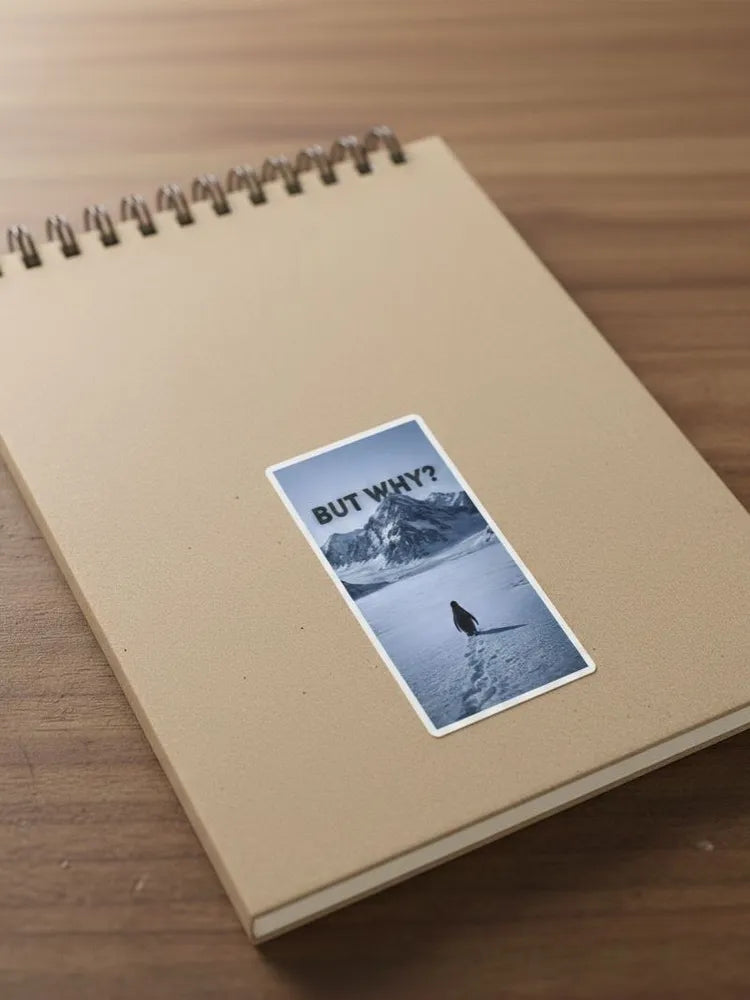 Funny Penguin Sticker BUT WHY Meme Decal Vinyl Waterproof Laptop Phone Case Decor Aesthetic Minimalist Gift Sticker