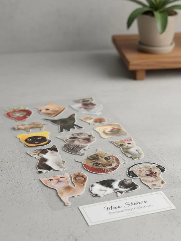 Funny Meme Cat Sticker Sheet - Viral Crying & Confused Cats - Clear Vinyl Decals for Laptop, Phone & Journaling